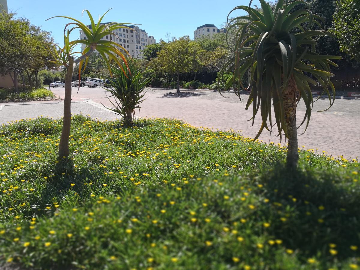 Majorca Apartments By Bon Hotels Ciudad del Cabo Exterior foto